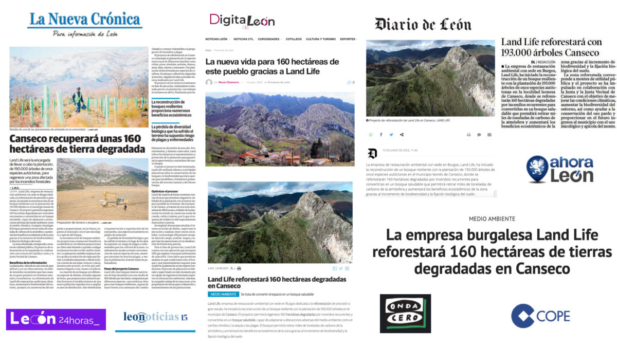 La empresa burgalesa Land Life reforestará 160 hectáreas de tierras degradadas en Canseco